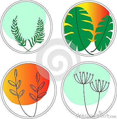 Botany, floristry, tulip, fern, leaf with large cuts, beautiful plants Stock Photo